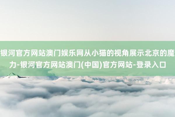 银河官方网站澳门娱乐网从小猫的视角展示北京的魔力-银河官方网站澳门(中国)官方网站-登录入口