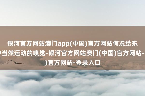 银河官方网站澳门app(中国)官方网站何况给东谈主一种当然运动的嗅觉-银河官方网站澳门(中国)官方网站-登录入口