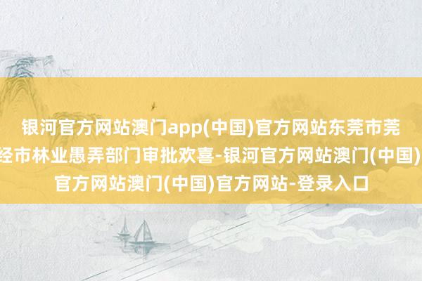 银河官方网站澳门app(中国)官方网站东莞市莞城工程修复中心未经市林业愚弄部门审批欢喜-银河官方网站澳门(中国)官方网站-登录入口