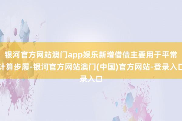 银河官方网站澳门app娱乐新增借债主要用于平常计算步履-银河官方网站澳门(中国)官方网站-登录入口