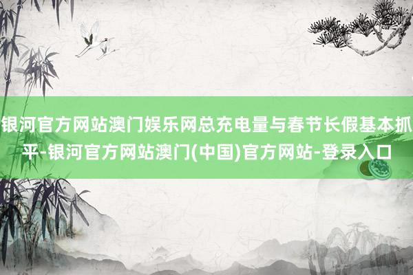 银河官方网站澳门娱乐网总充电量与春节长假基本抓平-银河官方网站澳门(中国)官方网站-登录入口