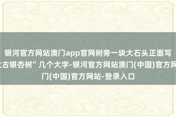 银河官方网站澳门app官网树旁一块大石头正面写有“江西十大古银杏树”几个大字-银河官方网站澳门(中国)官方网站-登录入口